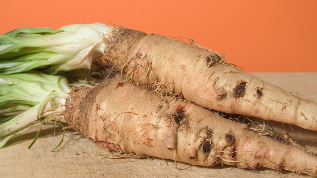 Salsify Tips & Recipe