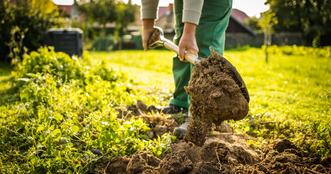 Starting Your Gardening Journey: Understanding the Basics