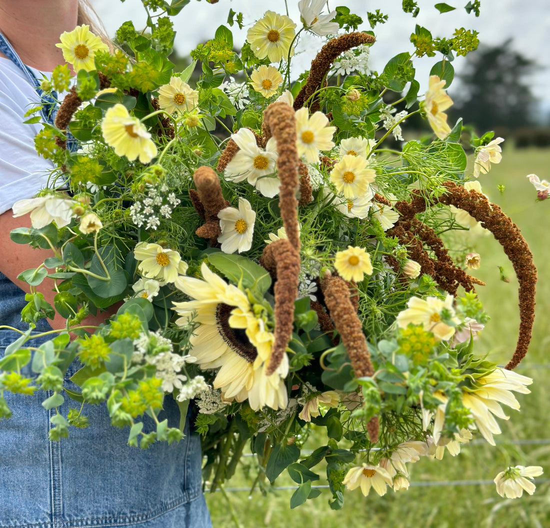 The Cut Flower Garden Guide | Kings Seeds