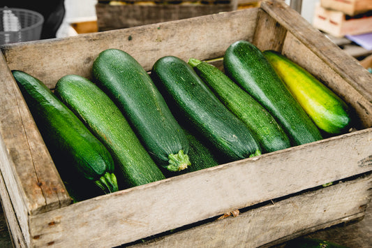 How to Grow Zucchini - Kings Seeds