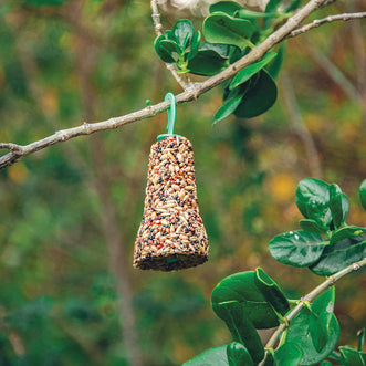 Wild Bird Seed Bell