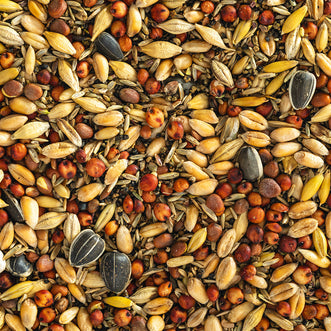 Wild Bird Seed Mix (Coarse)