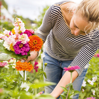 Vibrant Bouquet