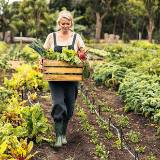 Organic Autumn Vegetables