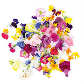 Organic Edible Flowers