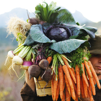 Vege Patch Autumn