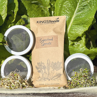 Organic Sprouting Kit