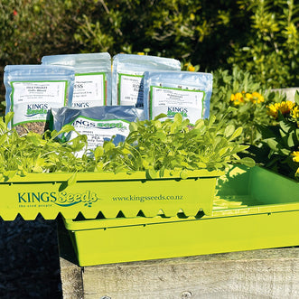 Microgreen Kit