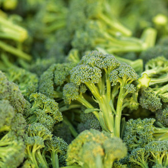 Organic Broccoli de Cicco
