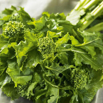 Organic Broccoli Raab Spring Rapini