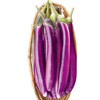 Organic Eggplant Ping Tung Long