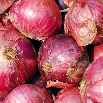 Organic Onion Red Amposta