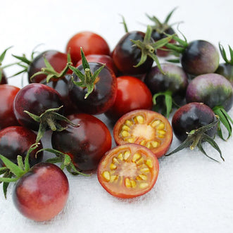 Organic Tomato Indigo Blue Berries