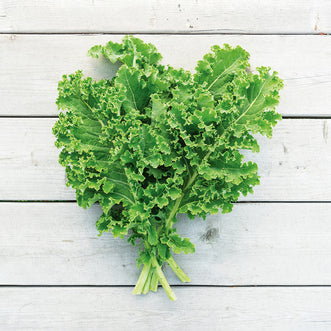 Organic Kale Westerland