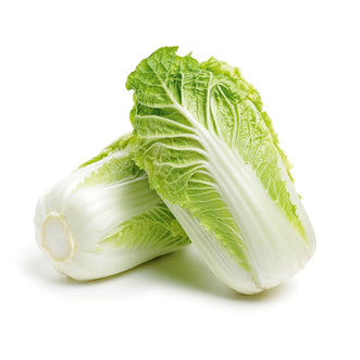 Cabbage Chinese Wa Wa Tsai F1