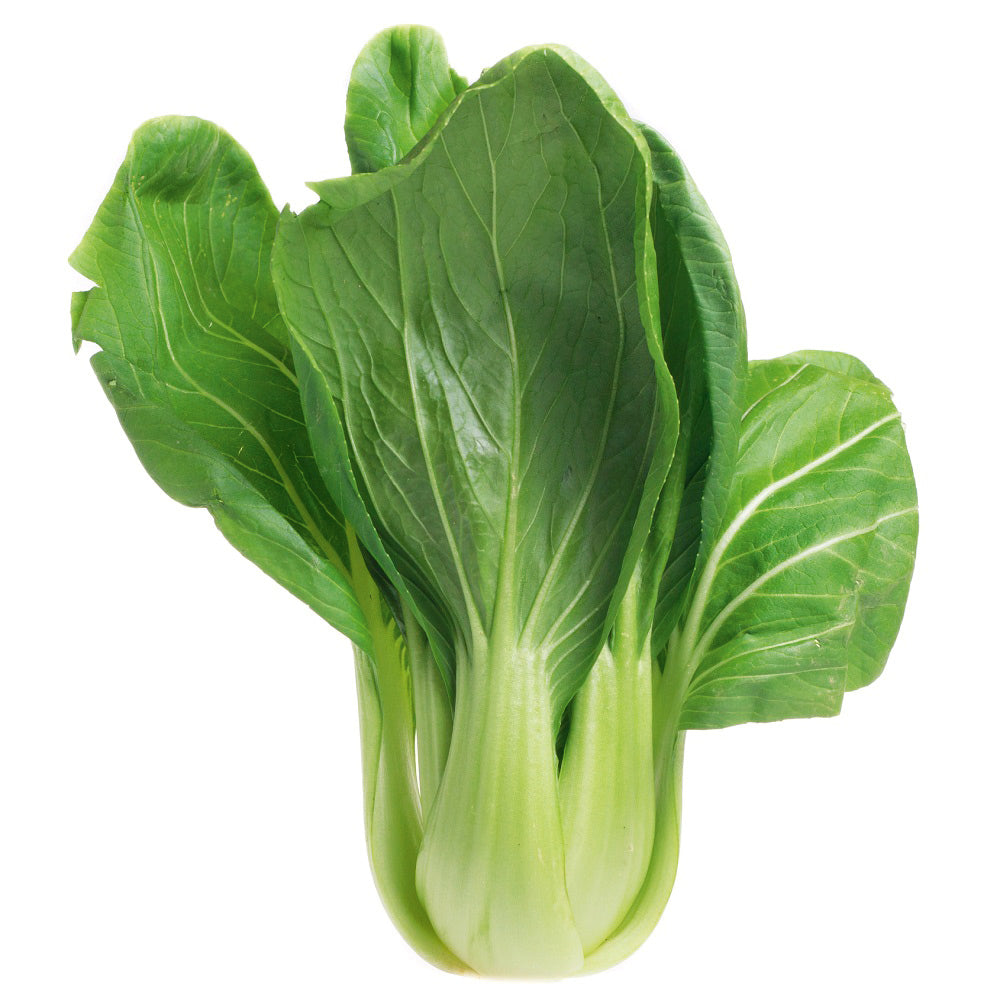 Buy Pak Choi Green Ace F1 by Kings Seeds online - Kings Seeds NZ