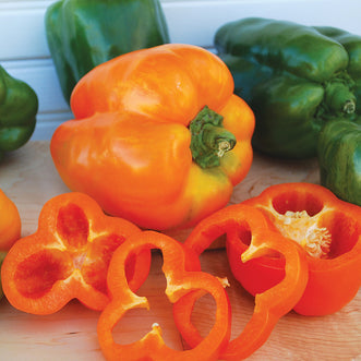 Capsicum Orange Bell