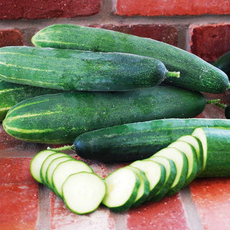 Cucumber Longfellow