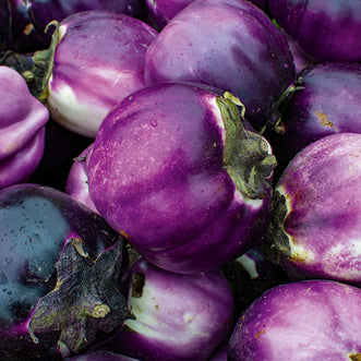 Eggplant Florence Round Purple