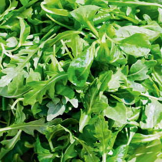 Mesclun Winter Blend