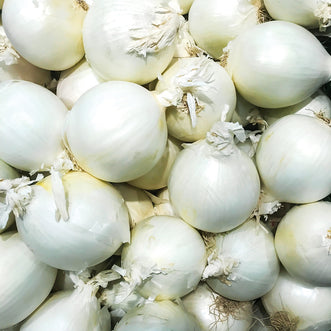 Onion White Sweet Spanish