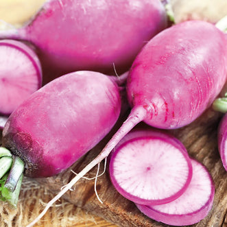 Radish Mini Daikon Purple F1