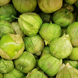 Tomatillo Grande Verde