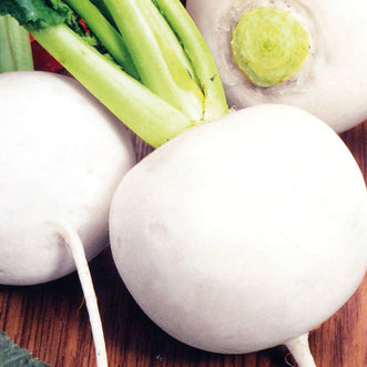 Turnip Snowball