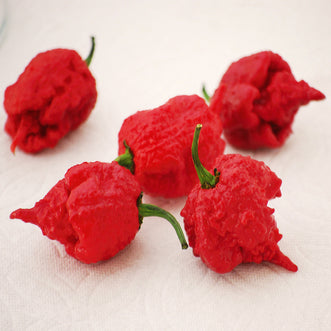 Chilli Carolina Reaper