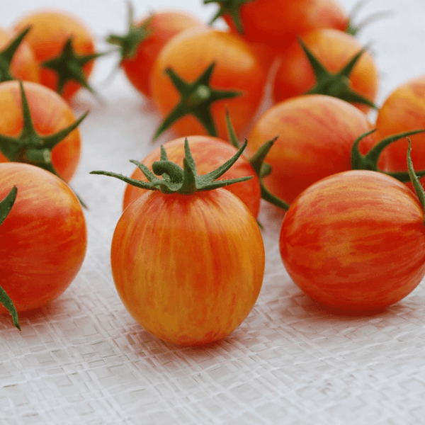 Tomates - Sunrise Fruits Company